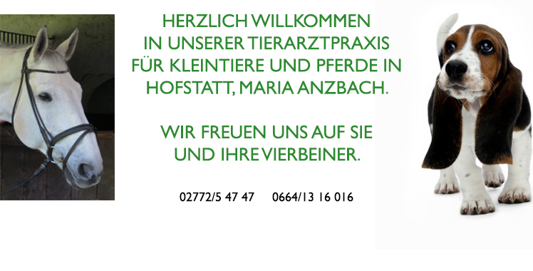 Willkommen in der Tierarztpraxis für Kleintiere und Pferde in Hofstatt, Maria Anzbach